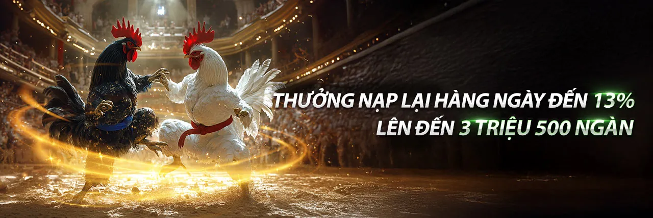 Hình ảnh nền chính cho trang Điều khoản và Điều kiện của 13win12 casino