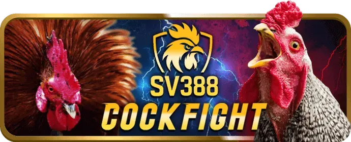 Hướng dẫn chi tiết cách chơi các game 13win12 casino